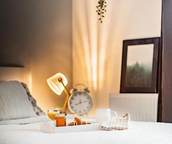 Good Time Boznicza 1 & Male Garbary 8 - Centrum Poznania, 2 Min Od Starego Rynku *